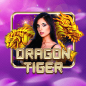 Dragon Tiger A45 live casino review
