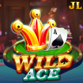 Wild Ace A45 slot